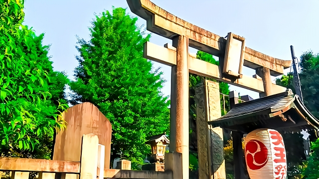 素戔嗚神社 鳥居