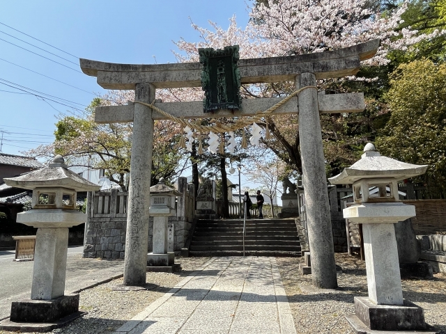玉前神社　鳥居